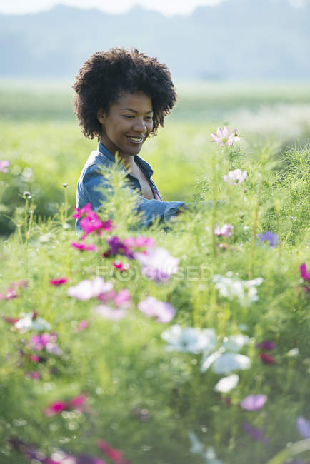 Frau steht inmitten von Blumen, die auf dem Feld wachsen. — Stockfoto
