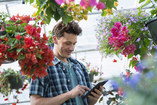 Homem adulto médio usando tablet digital em estufa de flores de viveiro de plantas . — Fotografia de Stock