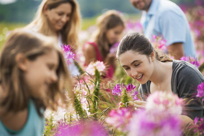 Familia sentada entre flores en granja de flores orgánicas - foto de stock