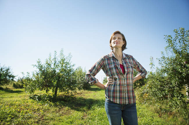 Frau im karierten Hemd steht im Apfelgarten mit den Händen auf den Hüften. — Stockfoto