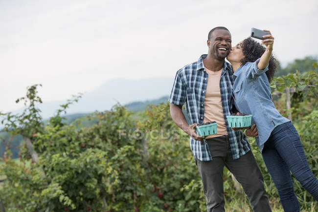Woman kissing man while taking selfie with smartphone at blackberry farm. — Stock Photo