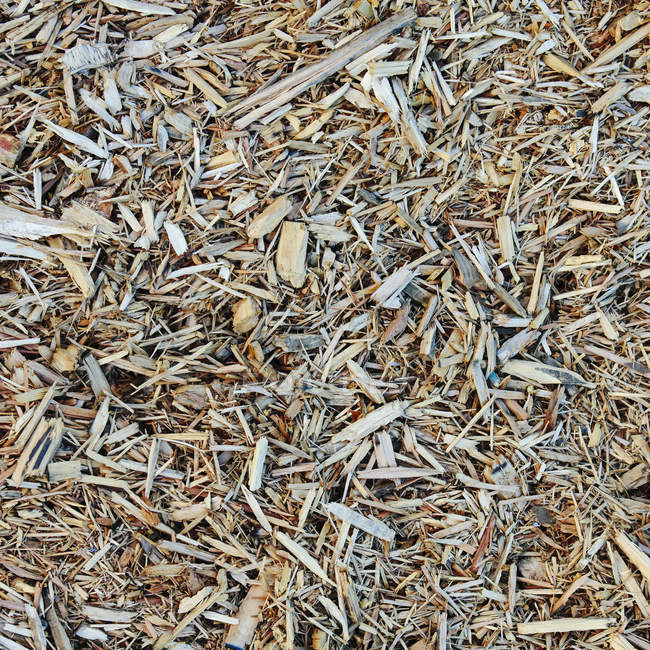 Крупный план коры древесной щепы, используемой для озеленения — стоковое фото