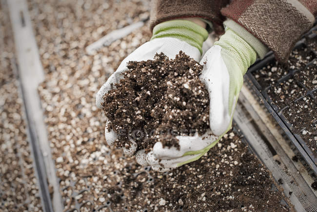 Personne mains tenant une poignée de sol organique . — Photo de stock