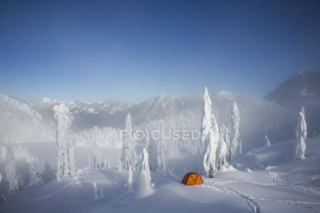 Leuchtend orangefarbenes Zelt zwischen schneebedeckten Bäumen in Kaskadengebirgslandschaft in den USA. — Stockfoto