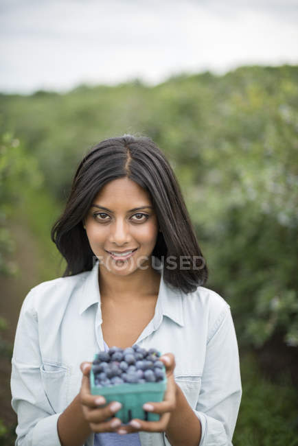 Femme tenant punnet de bleuets biologiques fraîchement cueillis à la ferme . — Photo de stock