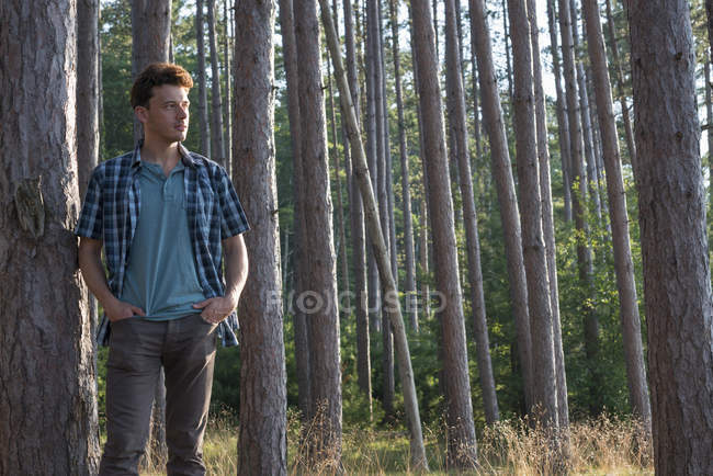 Homem de pé à sombra de pinheiros no verão e olhando para longe . — Fotografia de Stock