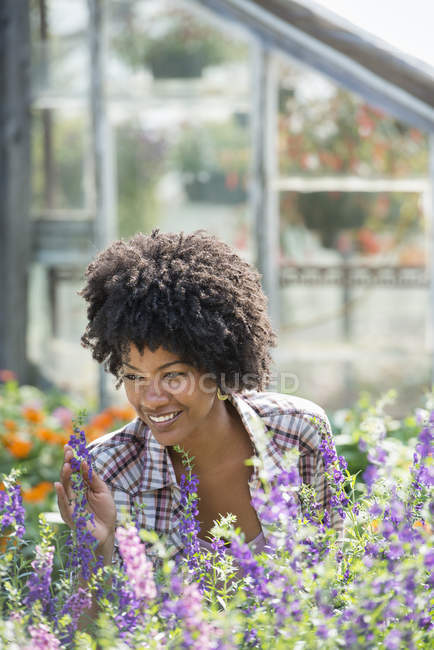 Femme souriante tendant des plantes à fleurs en pépinière
. — Photo de stock