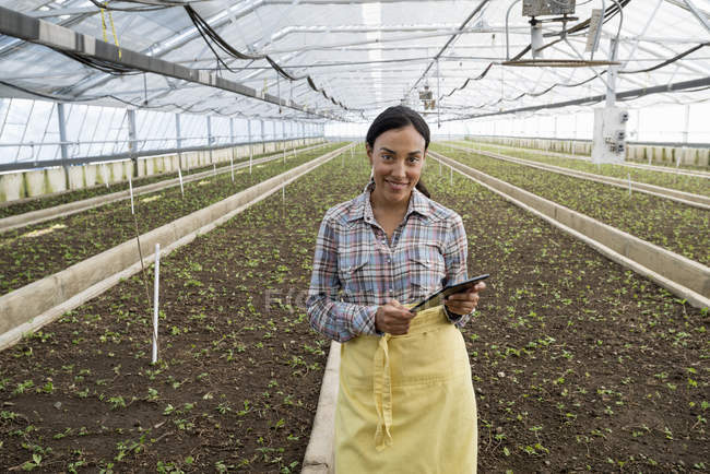 Jovem mulher em avental segurando tablet digital em estufa de viveiro de plantas . — Fotografia de Stock