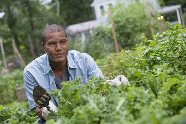 Junger afrikanisch-amerikanischer Mann arbeitet im Garten. — Stockfoto