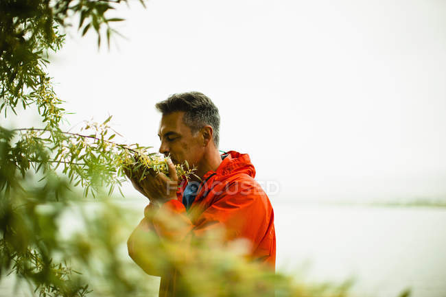 Homem em uma jaqueta vermelha que respira no aroma de flores amarelas fragrantes de arbusto . — Fotografia de Stock