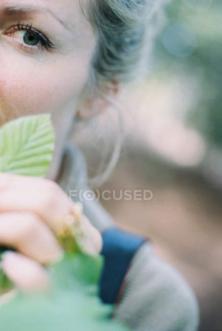 Vista cortada da mulher segurando folha de faia verde com nervuras . — Fotografia de Stock