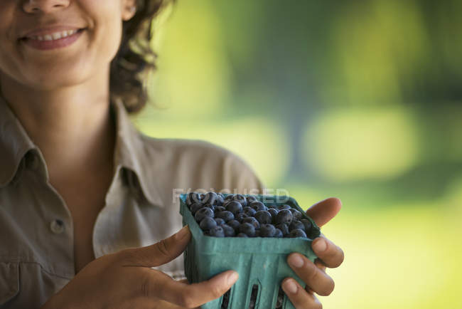 Cropped view of woman with punnet of freshly picked blueberries. — Stock Photo