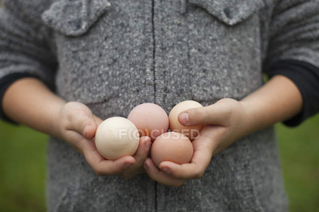 Обрізаний вид хлопчика, що тримає зчеплення зі свіжими органічними курячими яйцями . — стокове фото