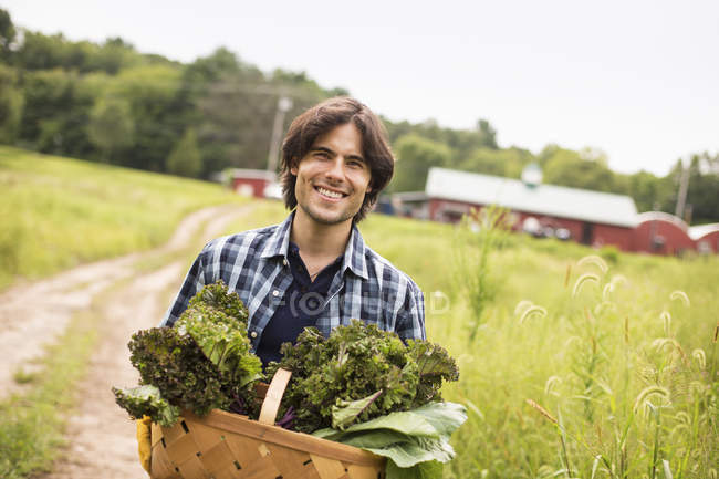 Homem carregando cesta de legumes orgânicos recém-colhidos na fazenda orgânica . — Fotografia de Stock