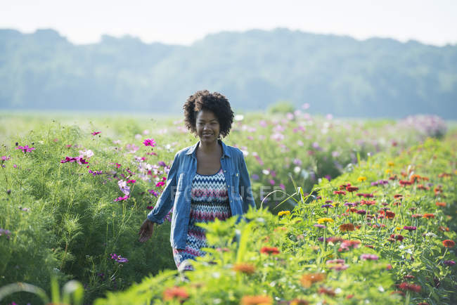 Mujer de pie entre las flores que crecen en el campo
. - foto de stock
