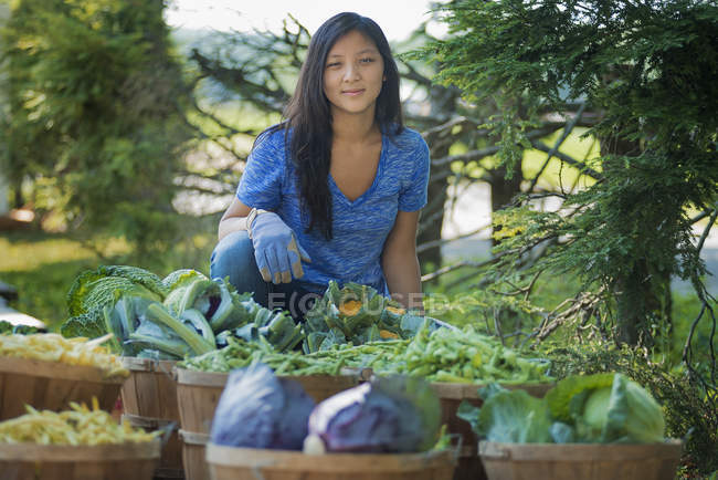 Young woman gardening in agricultural garden with baskets of fresh vegetables. — Stock Photo