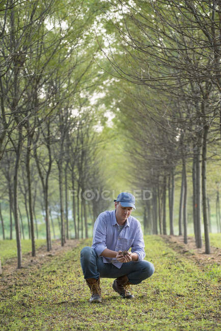 Homem de chapéu agachado e examinando um punhado de solo no parque com fileiras de árvores . — Fotografia de Stock