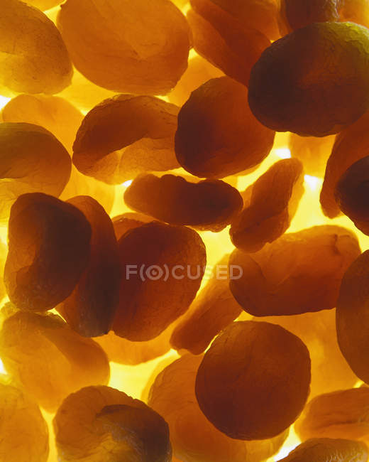 Bio getrocknete Aprikosen auf weißem Hintergrund — Stockfoto