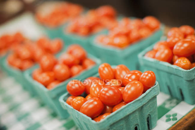 Grüne Schachteln mit reifen Tomaten. — Stockfoto