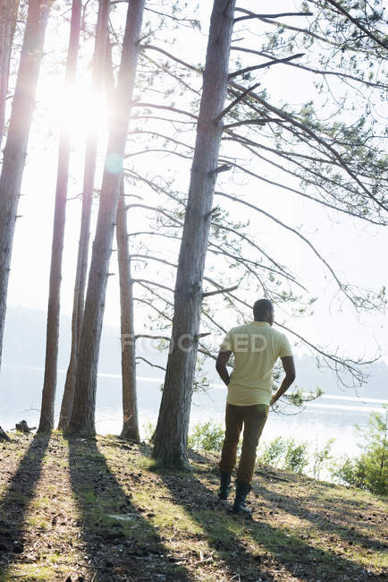 Rückansicht eines Mannes, der am Seeufer im Wald spaziert. — Stockfoto