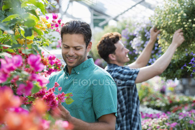 Dois homens desmontando flores e verificando cestas penduradas no viveiro de plantas . — Fotografia de Stock