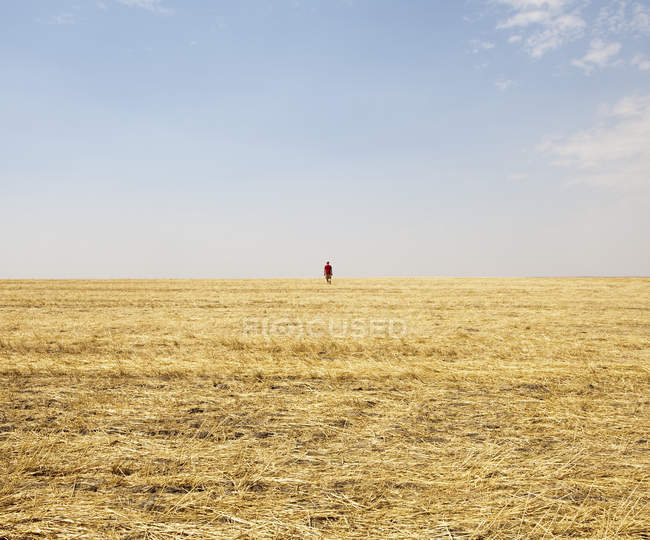 Silhouette of man standing on horizon of field of stubble. — Stock Photo