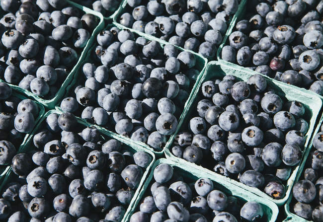 Kisten mit Bio-Blaubeeren vom Stand auf Bauernmarkt — Stockfoto