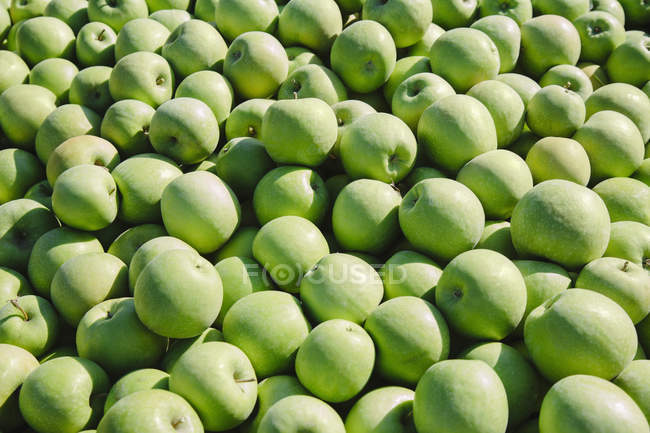 Stacked green Granny Smith apples, full frame. — Stock Photo