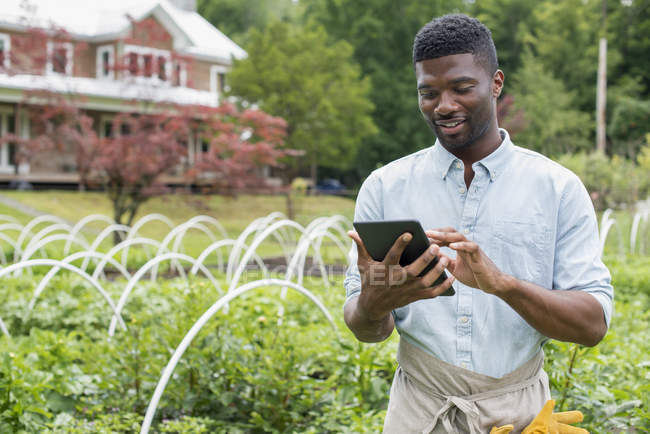 Young man using digital tablet at organic horticultural farm nursery. — Stock Photo