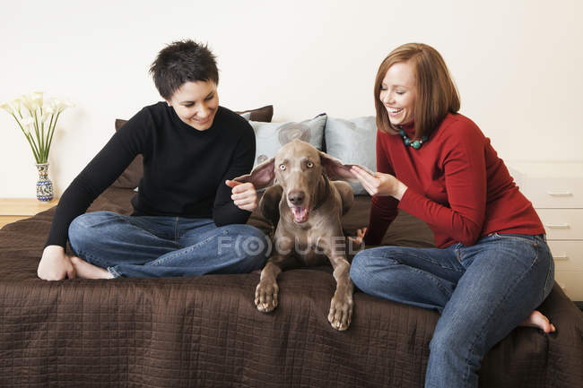 Lesbian couple posing with Weimaraner dog on bed. — Stock Photo