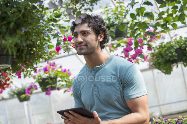 Hombre joven con tableta digital examinando flores en vivero de plantas - foto de stock