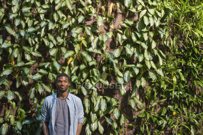 Uomo in piedi di fronte al muro di piante rampicanti e edera . — Foto stock