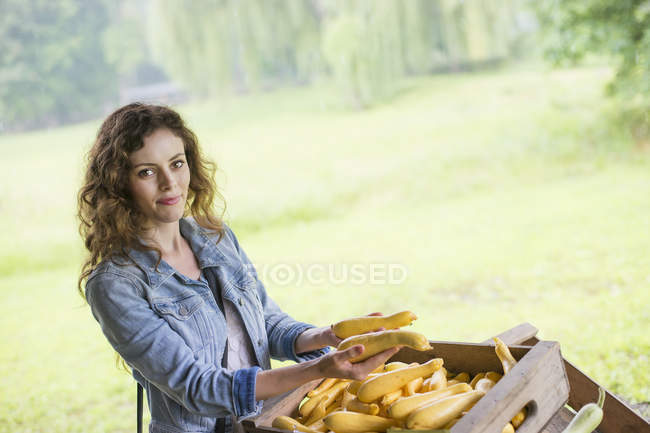 Jovem mulher classificando courgettes amarelos na fazenda orgânica . — Fotografia de Stock