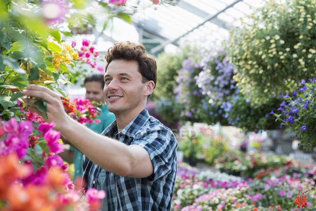 Dos hombres marchitan flores y revisan cestas colgantes en vivero de plantas . - foto de stock