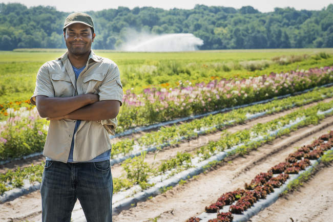 Hombre con los brazos cruzados de pie en el campo de cultivos de hortalizas y flores . - foto de stock