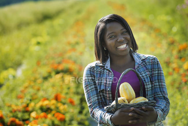 Mujer sonriendo y sosteniendo cesta de calabazas frescas en granja orgánica - foto de stock