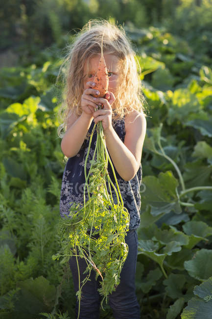 Fille d'âge primaire avec les cheveux bouclés debout dans un jardin ensoleillé et tenant des carottes fraîchement cueillies . — Photo de stock