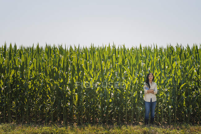 Молода жінка стоїть зі складеними руками перед кукурудзяним полем . — стокове фото