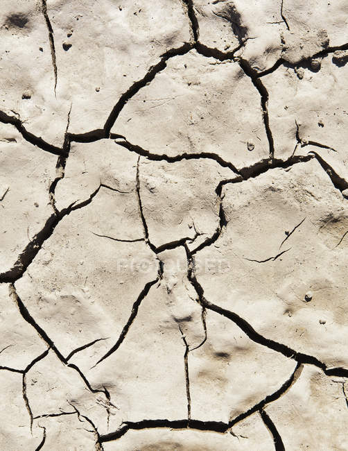 Terra seca rachada e lama cozida no chão
. — Fotografia de Stock