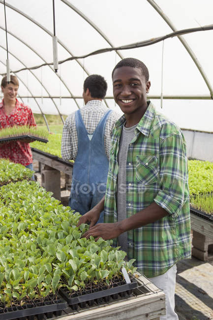 Молодой человек ухаживает за саженцами и улыбается с друзьями в оранжерее . — стоковое фото
