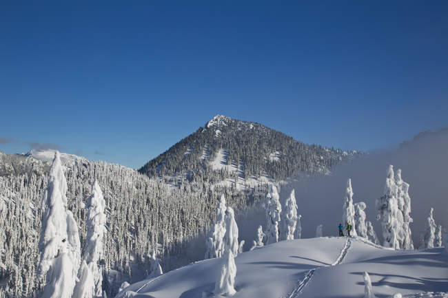 Männliche Wanderer stehen in schneebedeckten Kaskadengebirgslandschaft in den USA. — Stockfoto