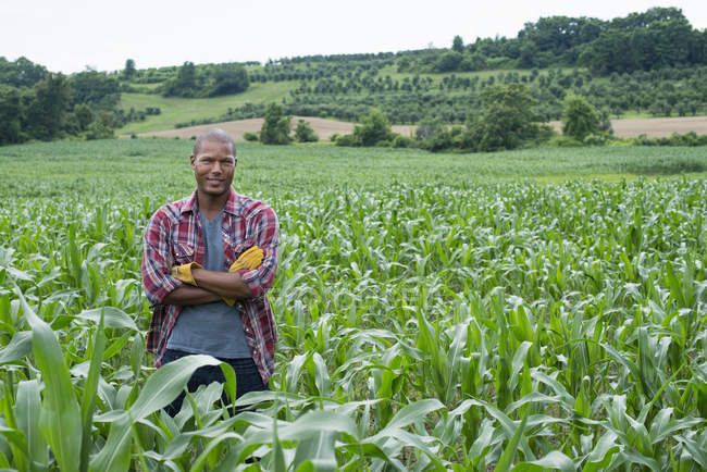 Giovane con le braccia incrociate in piedi nel campo di mais presso l'azienda agricola biologica
. — Foto stock