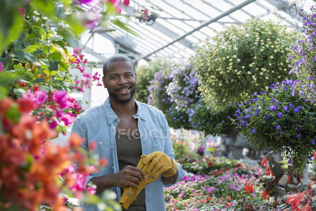 Mittlerer erwachsener Mann mit Schutzhandschuhen steht im Gewächshaus der Gärtnerei. — Stockfoto
