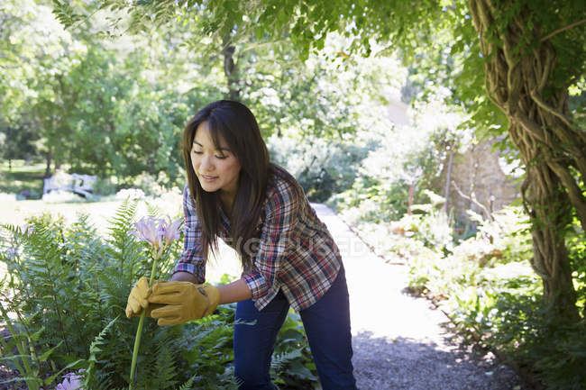 Jeune femme en gants de protection taille parcelle de légumes sur la ferme biologique . — Photo de stock