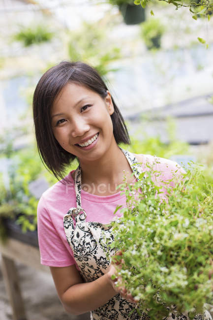 Femme asiatique tendant de jeunes plantes dans une maison en verre sur une ferme biologique . — Photo de stock
