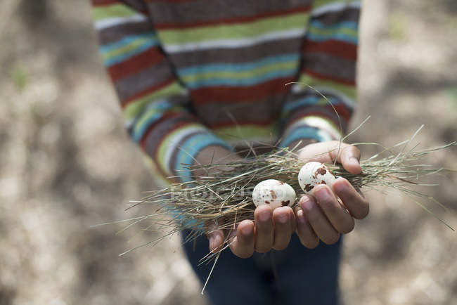 Junge im Grundschulalter in gestreiftem Hemd hält Nest mit Vogeleiern. — Stockfoto