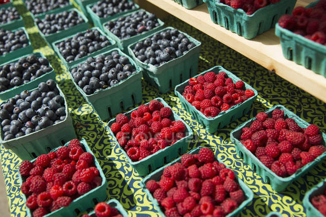 Farm stand with displays of punnets of fresh raspberries and blueberries. — Stock Photo