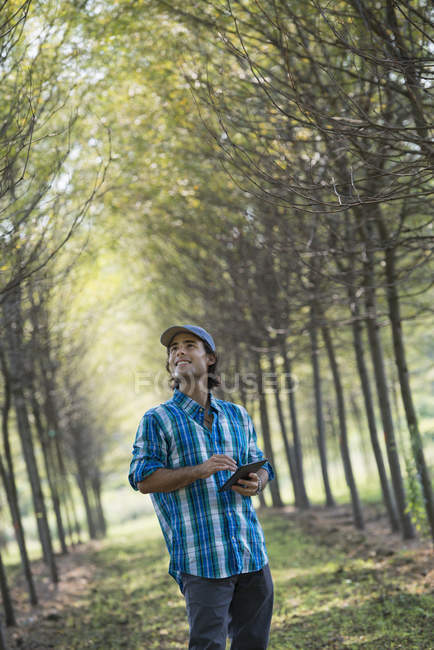 Чоловік стоїть на проспекті дерев і тримає цифровий планшет . — стокове фото