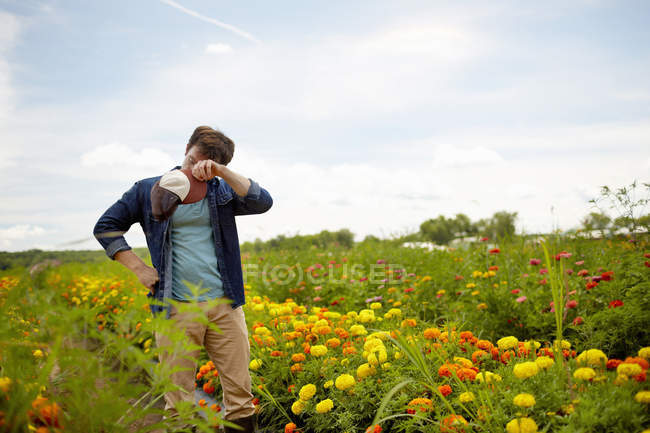 Male farmer wiping forehead in field of yellow and orange organic flowers. — Stock Photo