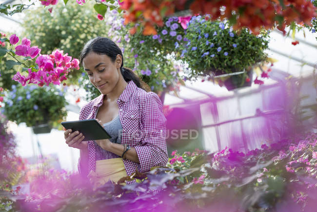 Mulher jovem usando tablet digital em estufa de flores de viveiro de plantas . — Fotografia de Stock